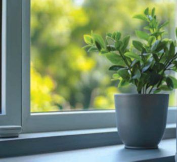 Double glazed window in a living room with a plant on the sill